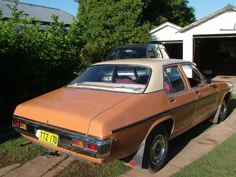 bluey-TT 006.jpg